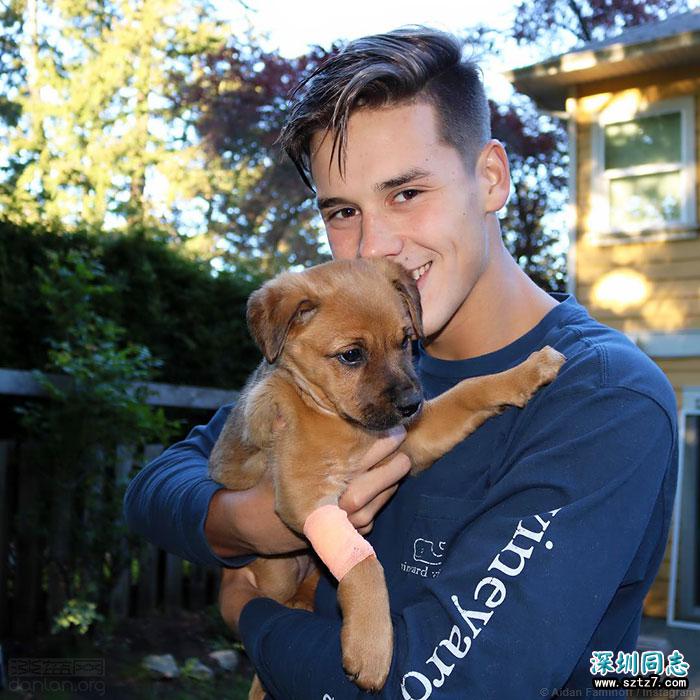 这个帅哭粉丝的跳水小哥,曾被误会是直男 这个帅哭粉丝的跳水小哥,曾被误会是直男