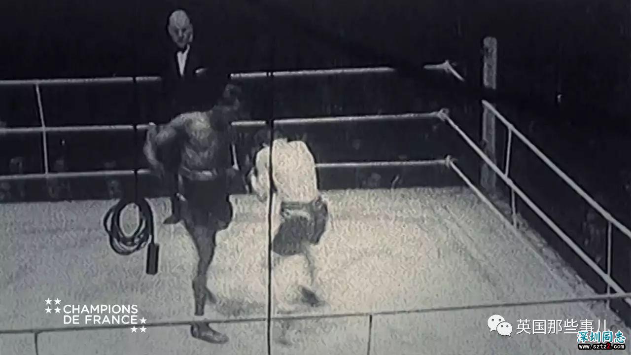 凭什么,一个同性恋不能做拳王? 凭什么,一个同性恋不能做拳王?