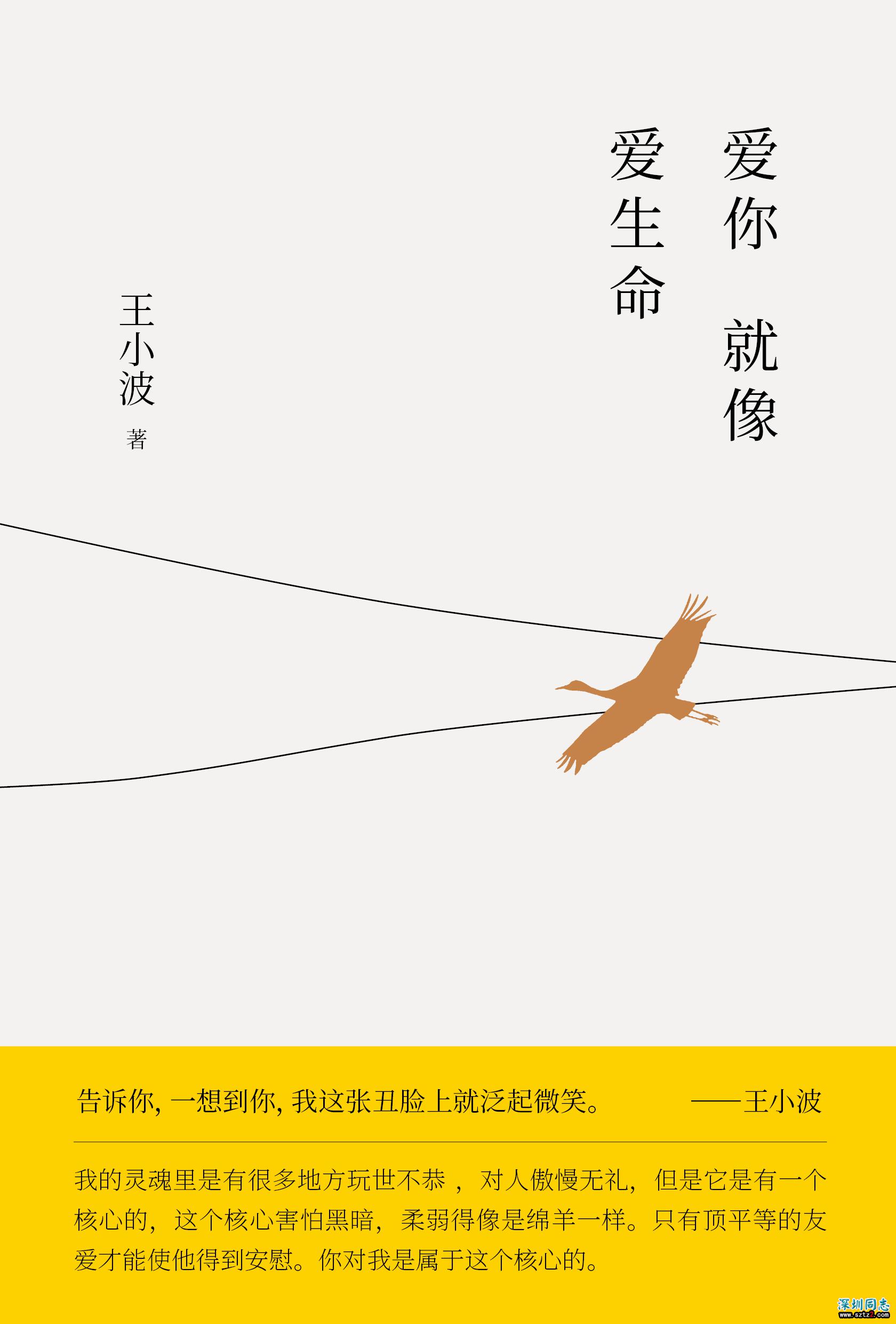 李银河谈王小波:做同性恋研究时曾去厕所偷拍 李银河谈王小波:做同性恋研究时曾去厕所偷拍