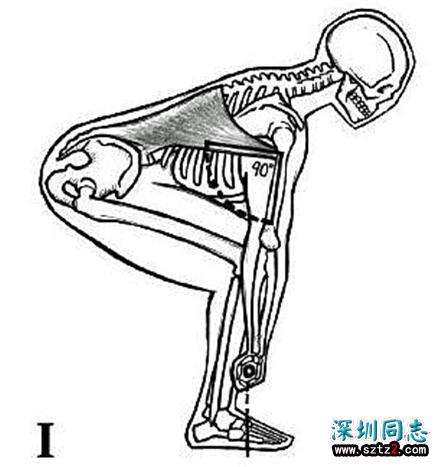 硬拉中背阔肌的重要性 硬拉中背阔肌的重要性