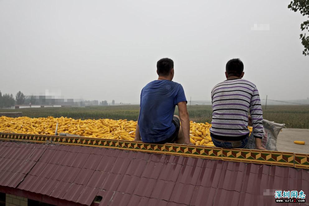 河北农村一对80后“同性恋”的生活,他们不在意别人看法 河北农村一对80后“同性恋”的生活,他们不在意别人看法