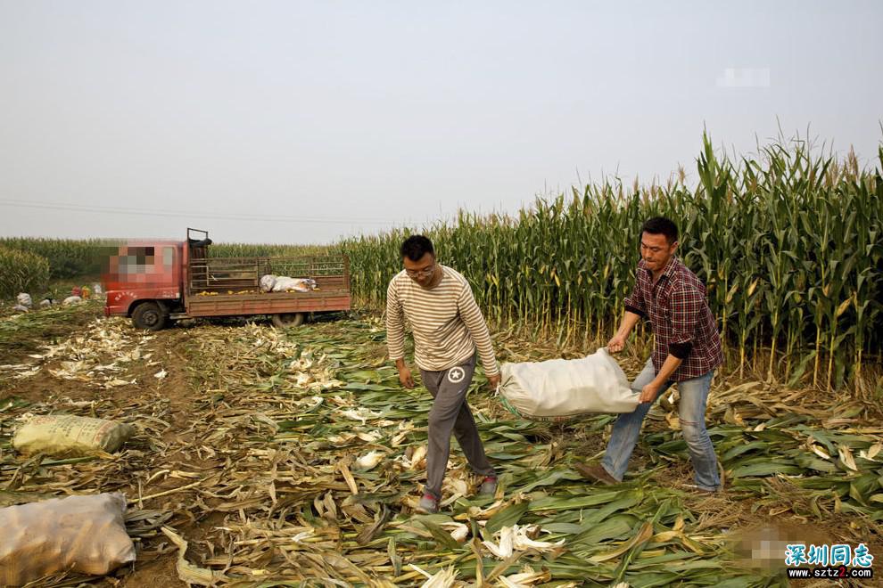 河北农村一对80后“同性恋”的生活,他们不在意别人看法 河北农村一对80后“同性恋”的生活,他们不在意别人看法