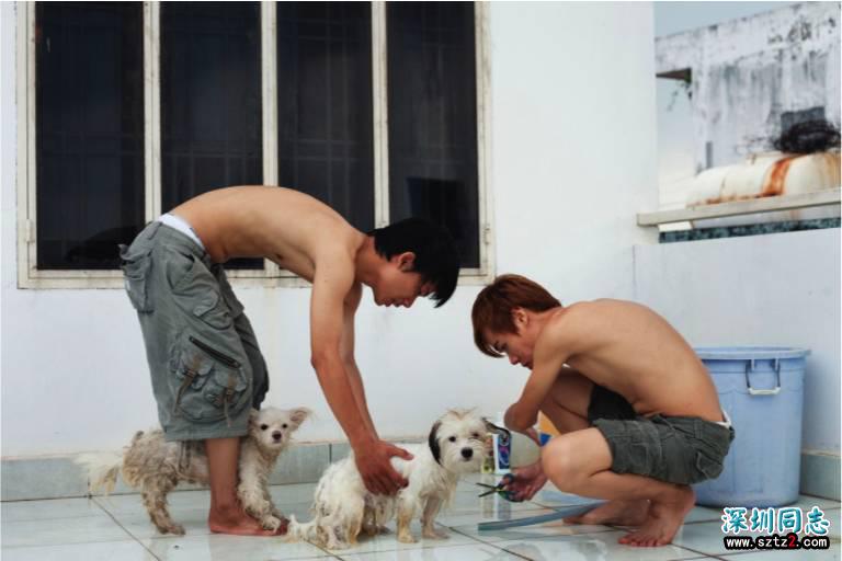 实拍同性恋人的生活片段 春节可能只有他们不能把另一半带回家 实拍同性恋人的生活片段 春节可能只有他们不能把另一半带回家