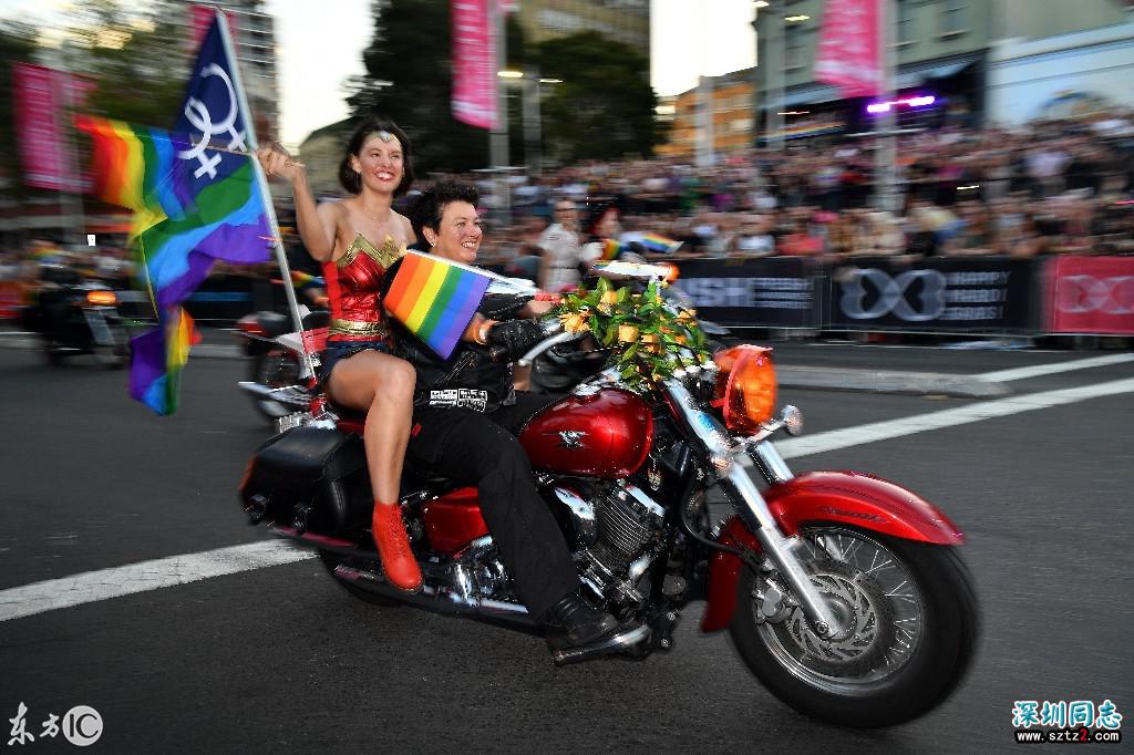 美国歌手雪儿,出席第40届悉尼同性恋狂欢节游行 美国歌手雪儿,出席第40届悉尼同性恋狂欢节游行