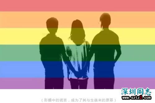 形婚不完全指南 形婚不完全指南