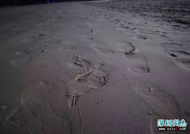 他是同性恋,却为了要孩子骗婚 他是同性恋,却为了要孩子骗婚