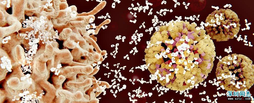 终于能治愈艾滋病了?美科学家取得巨大突破,消除31%HIV突变类型 终于能治愈艾滋病了?美科学家取得巨大突破,消除31%HIV突变类型