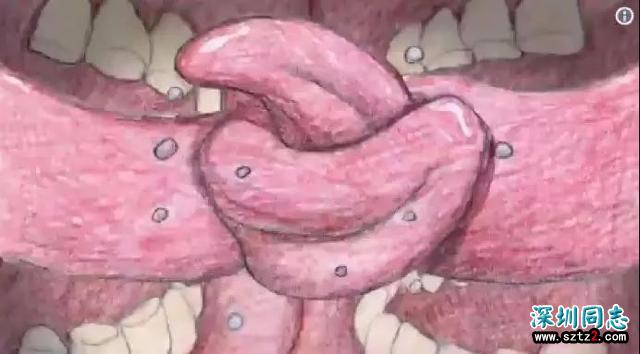 抨击特朗普惹怒同性恋群体 纽约时报摊上大事了! 抨击特朗普惹怒同性恋群体 纽约时报摊上大事了!