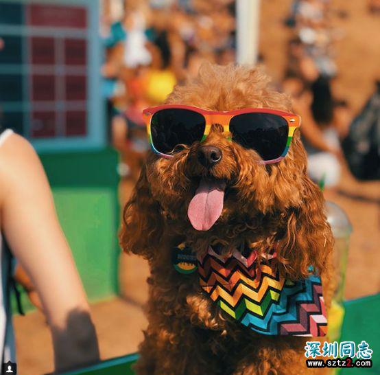 加拿大最大尺度肉体狂欢!同性恋游行!大开眼界! 加拿大最大尺度肉体狂欢!同性恋游行!大开眼界!