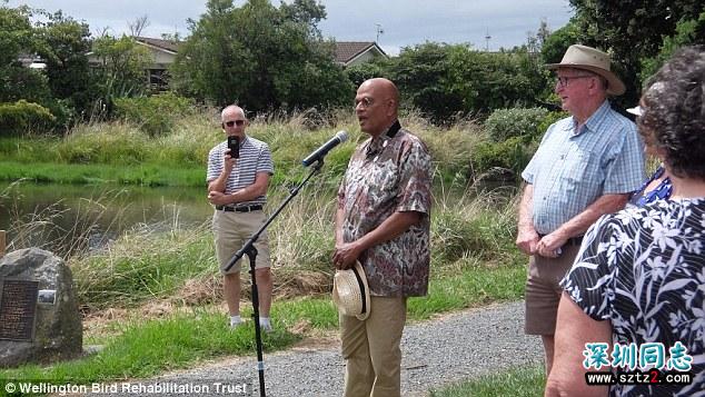 同性恋鹅与天鹅相爱18年 人们合葬两鹅立雕塑纪念 同性恋鹅与天鹅相爱18年 人们合葬两鹅立雕塑纪念