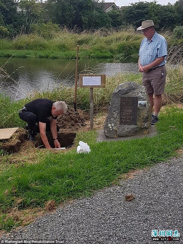 同性恋鹅与天鹅相爱18年 人们合葬两鹅立雕塑纪念 同性恋鹅与天鹅相爱18年 人们合葬两鹅立雕塑纪念