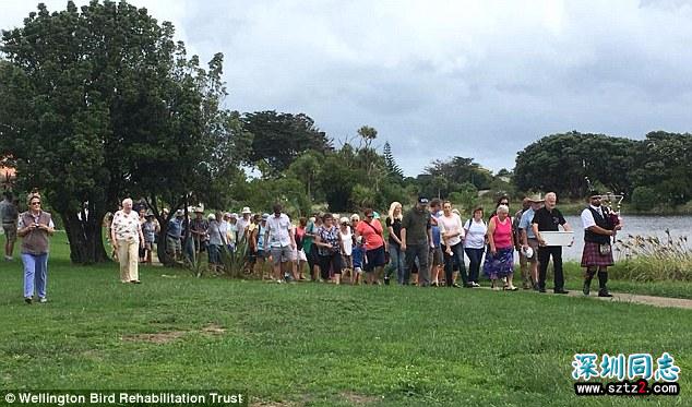 同性恋鹅与天鹅相爱18年 人们合葬两鹅立雕塑纪念 同性恋鹅与天鹅相爱18年 人们合葬两鹅立雕塑纪念