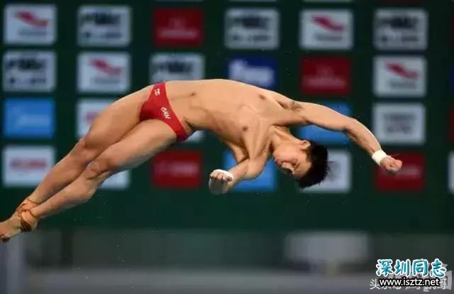 高清特写陈艾森跳水瞬间,瞬间懂包哥这个称呼是怎么来的 高清特写陈艾森跳水瞬间,瞬间懂包哥这个称呼是怎么来的