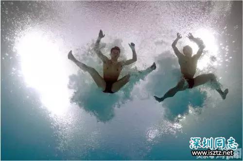 高清特写陈艾森跳水瞬间,瞬间懂包哥这个称呼是怎么来的 高清特写陈艾森跳水瞬间,瞬间懂包哥这个称呼是怎么来的