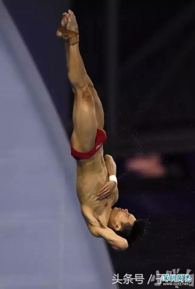 高清特写陈艾森跳水瞬间,瞬间懂包哥这个称呼是怎么来的 高清特写陈艾森跳水瞬间,瞬间懂包哥这个称呼是怎么来的