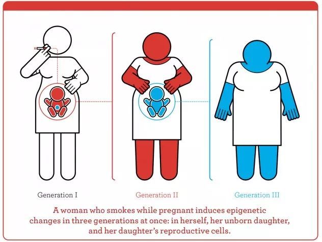 同性恋相关基因帮助“直人更性福”?!史上最大性取向遗传倾向研究出炉 同性恋相关基因帮助“直人更性福”?!史上最大性取向遗传倾向研究出炉