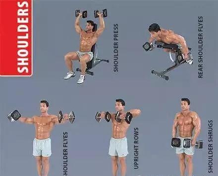 最全的健身动作训练图解,从此撸铁不求人! 最全的健身动作训练图解,从此撸铁不求人!