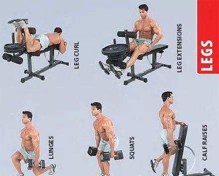 最全的健身动作训练图解,从此撸铁不求人! 最全的健身动作训练图解,从此撸铁不求人!