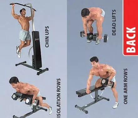 最全的健身动作训练图解,从此撸铁不求人! 最全的健身动作训练图解,从此撸铁不求人!