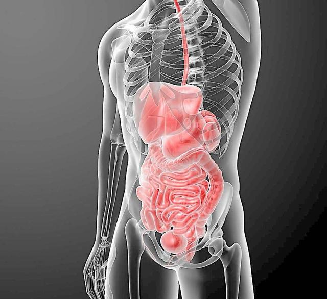 最有效的减肥方法之一,看过的都瘦了! 最有效的减肥方法之一,看过的都瘦了!