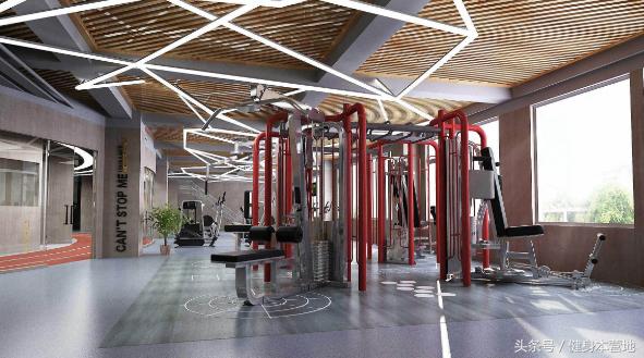 是否健身差距有多大呢?主要表现在这3个方面! 是否健身差距有多大呢?主要表现在这3个方面!