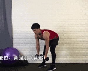 一对哑铃,20个动作,虐遍全身,让你不去健身房练出魔鬼好身材 一对哑铃,20个动作,虐遍全身,让你不去健身房练出魔鬼好身材