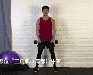 一对哑铃,20个动作,虐遍全身,让你不去健身房练出魔鬼好身材 一对哑铃,20个动作,虐遍全身,让你不去健身房练出魔鬼好身材