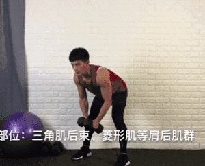 一对哑铃,20个动作,虐遍全身,让你不去健身房练出魔鬼好身材 一对哑铃,20个动作,虐遍全身,让你不去健身房练出魔鬼好身材