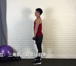 一对哑铃,20个动作,虐遍全身,让你不去健身房练出魔鬼好身材 一对哑铃,20个动作,虐遍全身,让你不去健身房练出魔鬼好身材