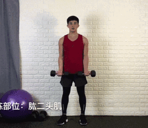 一对哑铃,20个动作,虐遍全身,让你不去健身房练出魔鬼好身材 一对哑铃,20个动作,虐遍全身,让你不去健身房练出魔鬼好身材