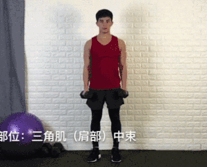 一对哑铃,20个动作,虐遍全身,让你不去健身房练出魔鬼好身材 一对哑铃,20个动作,虐遍全身,让你不去健身房练出魔鬼好身材