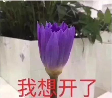 反复长痘痘,“凶手”究竟是谁? 反复长痘痘,“凶手”究竟是谁?