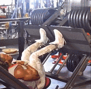 9个大腿训练关键动作,和大屌哥一起练就对了! 9个大腿训练关键动作,和大屌哥一起练就对了!