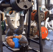 9个大腿训练关键动作,和大屌哥一起练就对了! 9个大腿训练关键动作,和大屌哥一起练就对了!