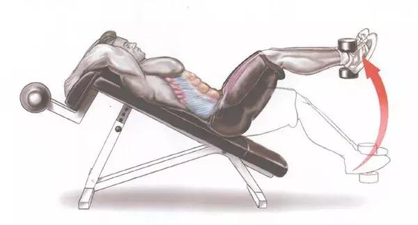 常见的举腿动作——上斜仰卧屈膝腿上摆 常见的举腿动作——上斜仰卧屈膝腿上摆