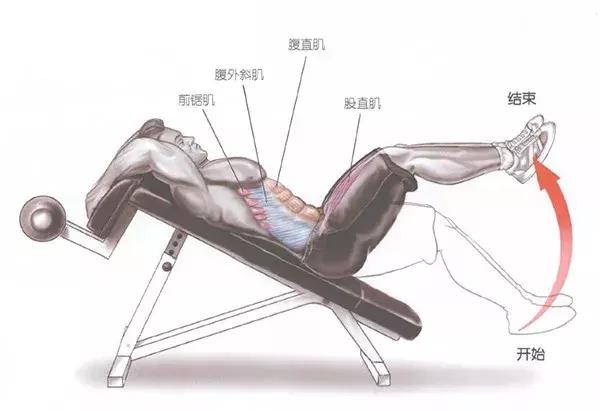 常见的举腿动作——上斜仰卧屈膝腿上摆 常见的举腿动作——上斜仰卧屈膝腿上摆