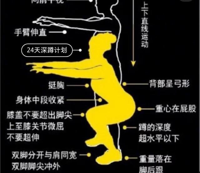 如何深蹲最有效?深蹲的动作你真的掌握了吗 如何深蹲最有效?深蹲的动作你真的掌握了吗