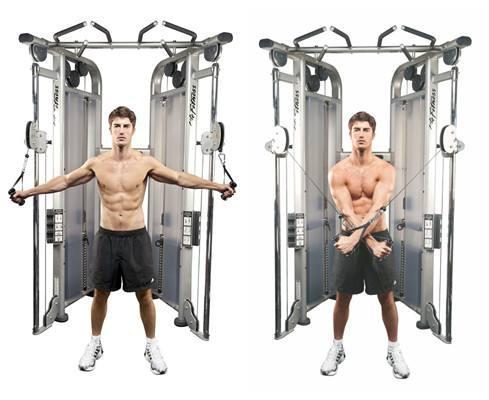 想练出完美手臂的肌肉,如何打破增肌难题? 想练出完美手臂的肌肉,如何打破增肌难题?