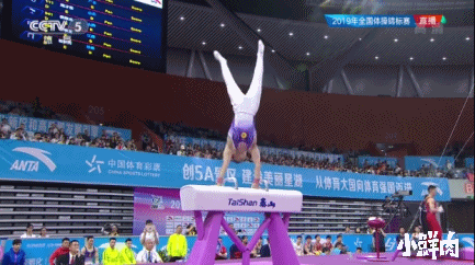 94年体操小将纪练深凭借颜值腱子肉走红 94年体操小将纪练深凭借颜值腱子肉走红