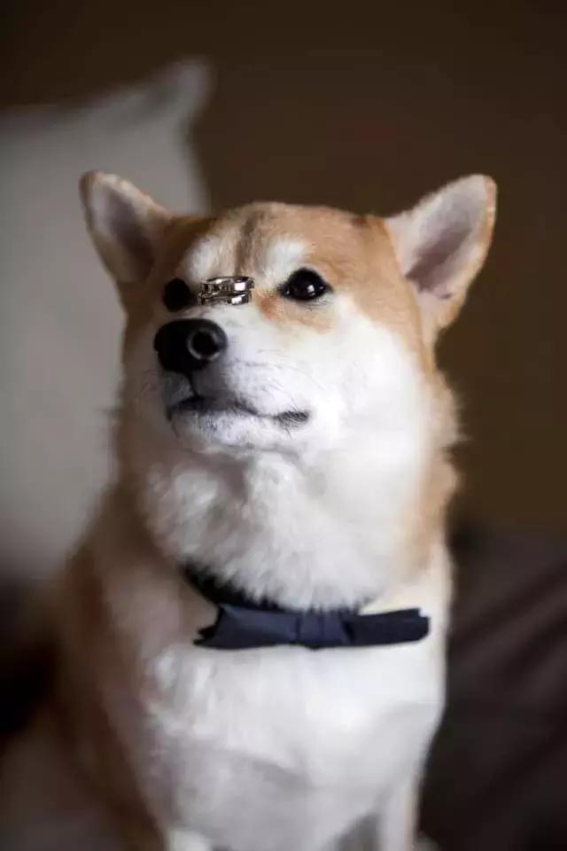 李光耀孙子和男友正式在南非合法结婚 李光耀孙子和男友正式在南非合法结婚