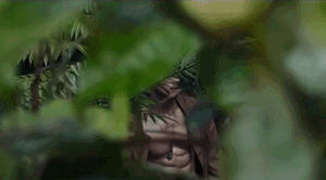 偶像明星写真:台湾“天菜”纪言恺的《纪律》 偶像明星写真:台湾“天菜”纪言恺的《纪律》