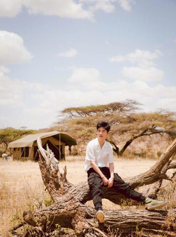 刘昊然简直是直男的穿衣模板!白色衬衫+牛仔裤干净清爽 刘昊然简直是直男的穿衣模板!白色衬衫+牛仔裤干净清爽