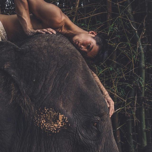 天菜小哥哥,红遍亚洲,会是你心目中的白马王子吗? 天菜小哥哥,红遍亚洲,会是你心目中的白马王子吗?