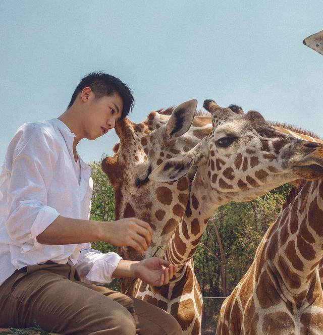 天菜小哥哥,红遍亚洲,会是你心目中的白马王子吗? 天菜小哥哥,红遍亚洲,会是你心目中的白马王子吗?