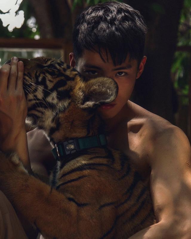 天菜小哥哥,红遍亚洲,会是你心目中的白马王子吗? 天菜小哥哥,红遍亚洲,会是你心目中的白马王子吗?