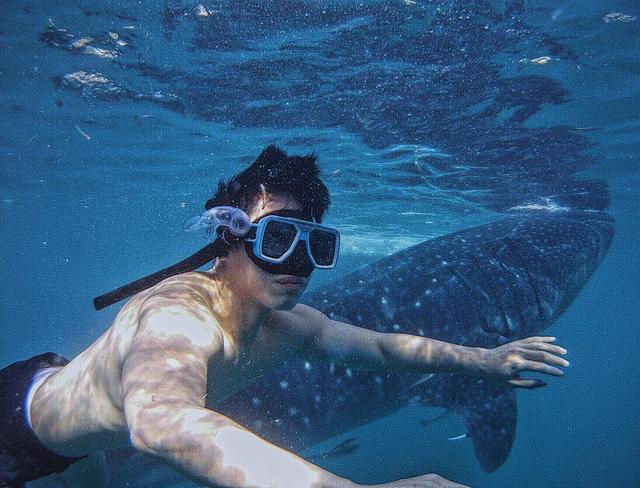 天菜小哥哥,红遍亚洲,会是你心目中的白马王子吗? 天菜小哥哥,红遍亚洲,会是你心目中的白马王子吗?