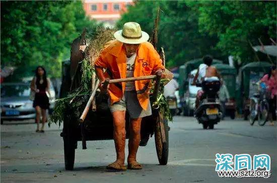 55岁的环卫工人脱下衣服,完美的身材足以让年轻人羞愧的低头 55岁的环卫工人脱下衣服,完美的身材足以让年轻人羞愧的低头