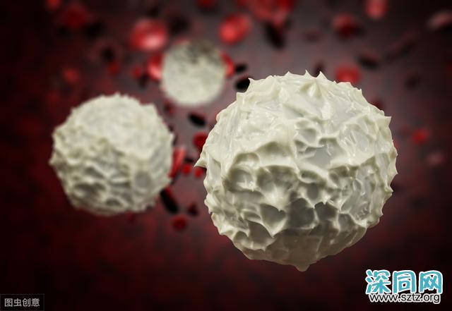 一分钟教你看懂前列腺液化验单 一分钟教你看懂前列腺液化验单