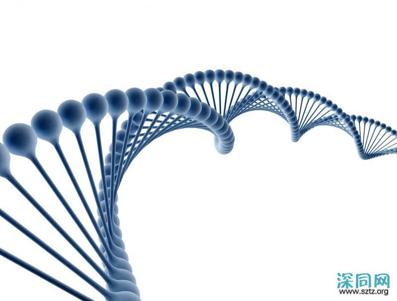 跨性别女性的美丽与哀愁 跨性别女性的美丽与哀愁