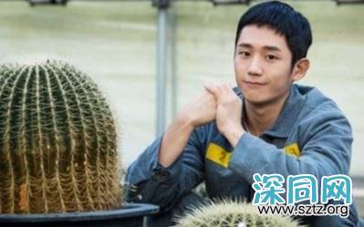 《当你沉睡时》,李钟硕的男主和丁海寅的警察小哥哥,更爱哪个 《当你沉睡时》,李钟硕的男主和丁海寅的警察小哥哥,更爱哪个